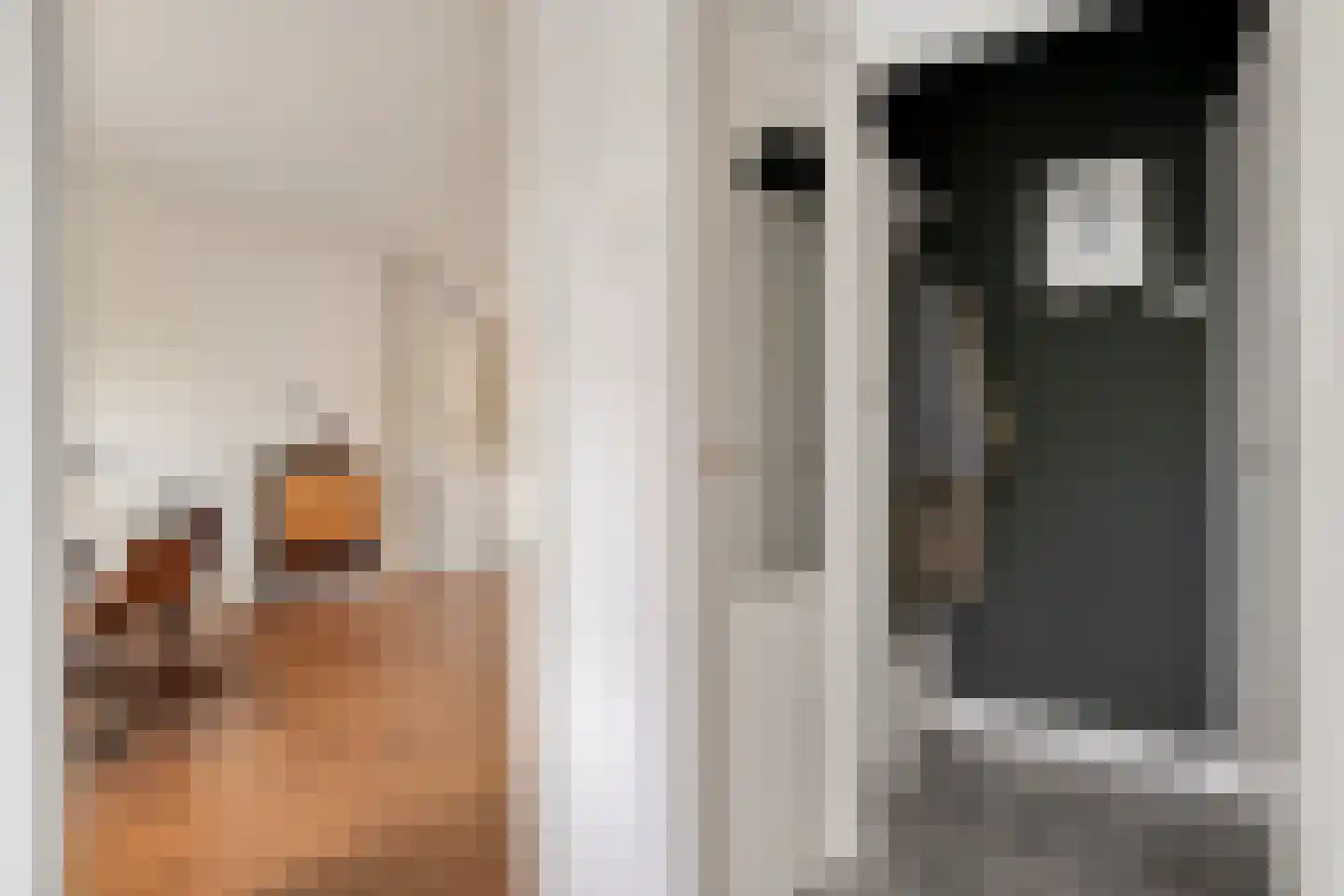 Pieter Zeemanlaan 22 Zwolle thumbnail 15