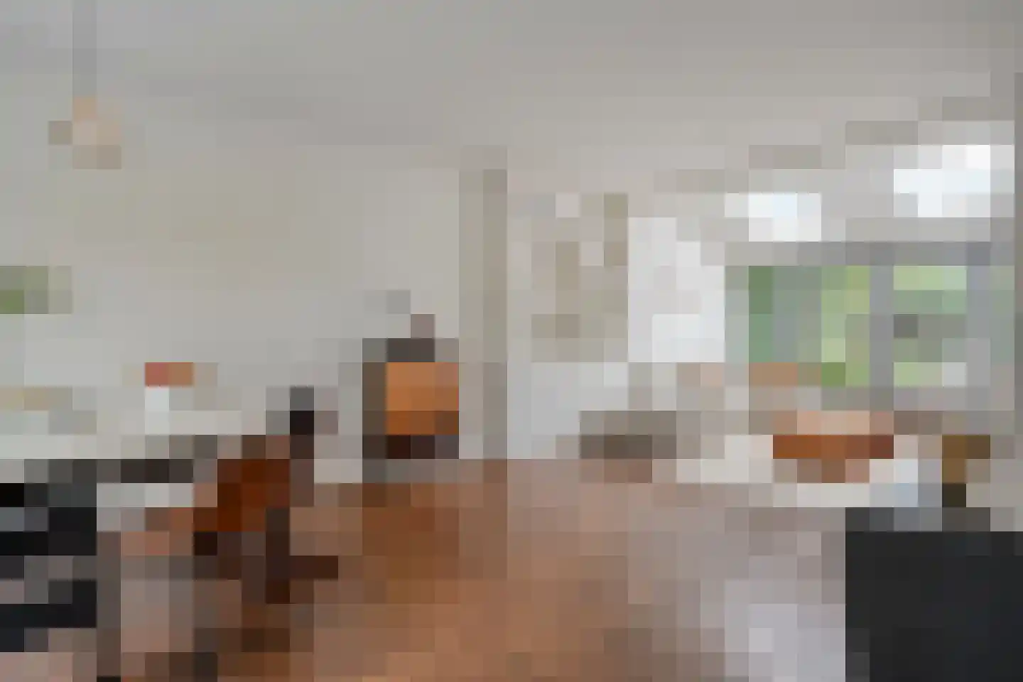 Pieter Zeemanlaan 22 Zwolle thumbnail 16