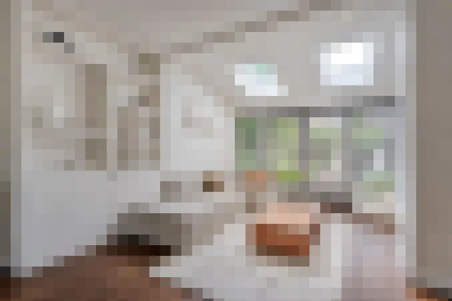 Pieter Zeemanlaan 22 Zwolle thumbnail 20