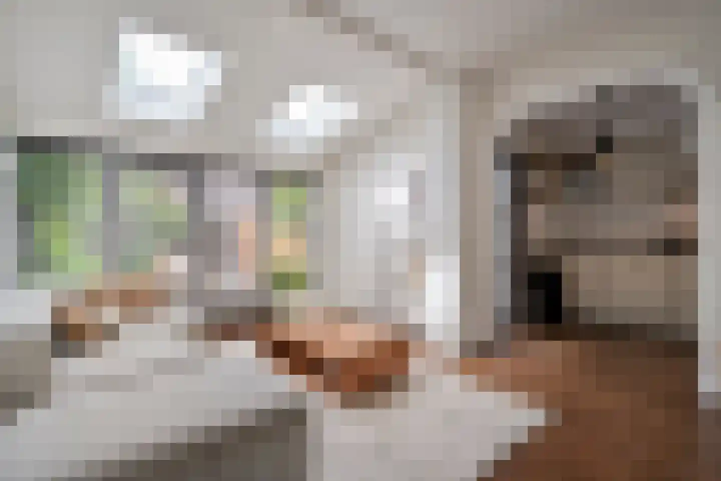 Pieter Zeemanlaan 22 Zwolle thumbnail 21