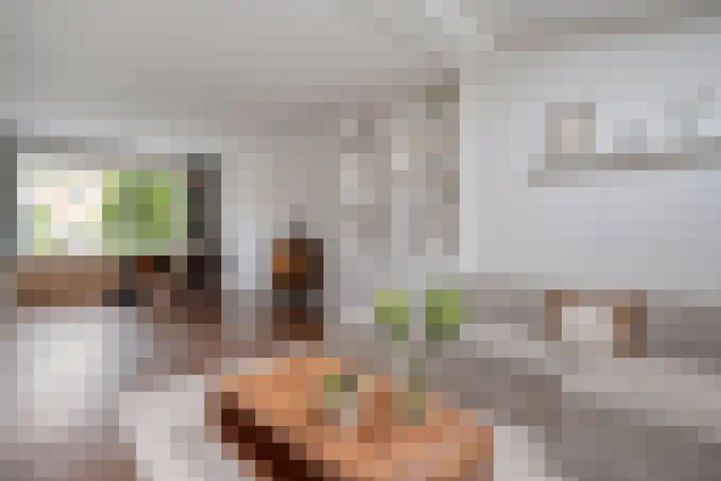 Pieter Zeemanlaan 22 Zwolle thumbnail 23