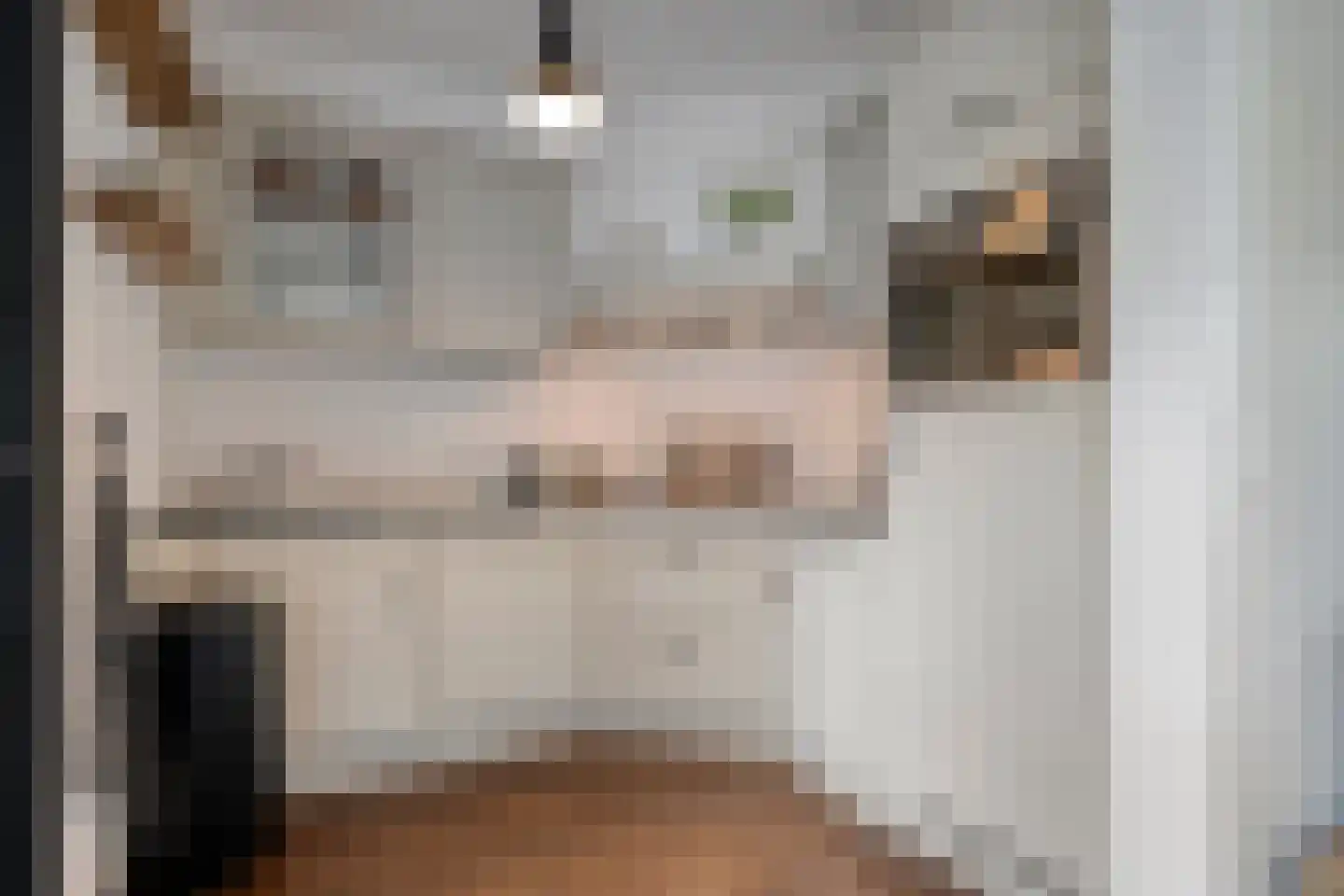 Pieter Zeemanlaan 22 Zwolle thumbnail 26