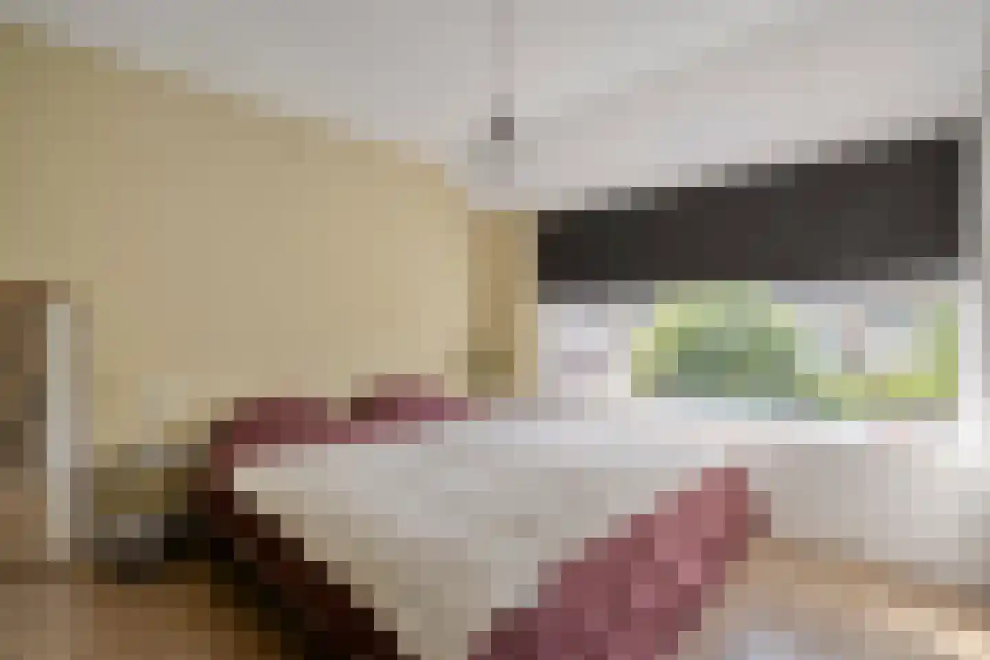 Pieter Zeemanlaan 22 Zwolle thumbnail 31
