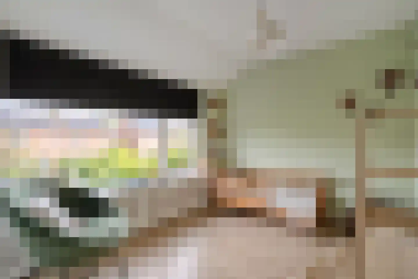 Pieter Zeemanlaan 22 Zwolle thumbnail 33