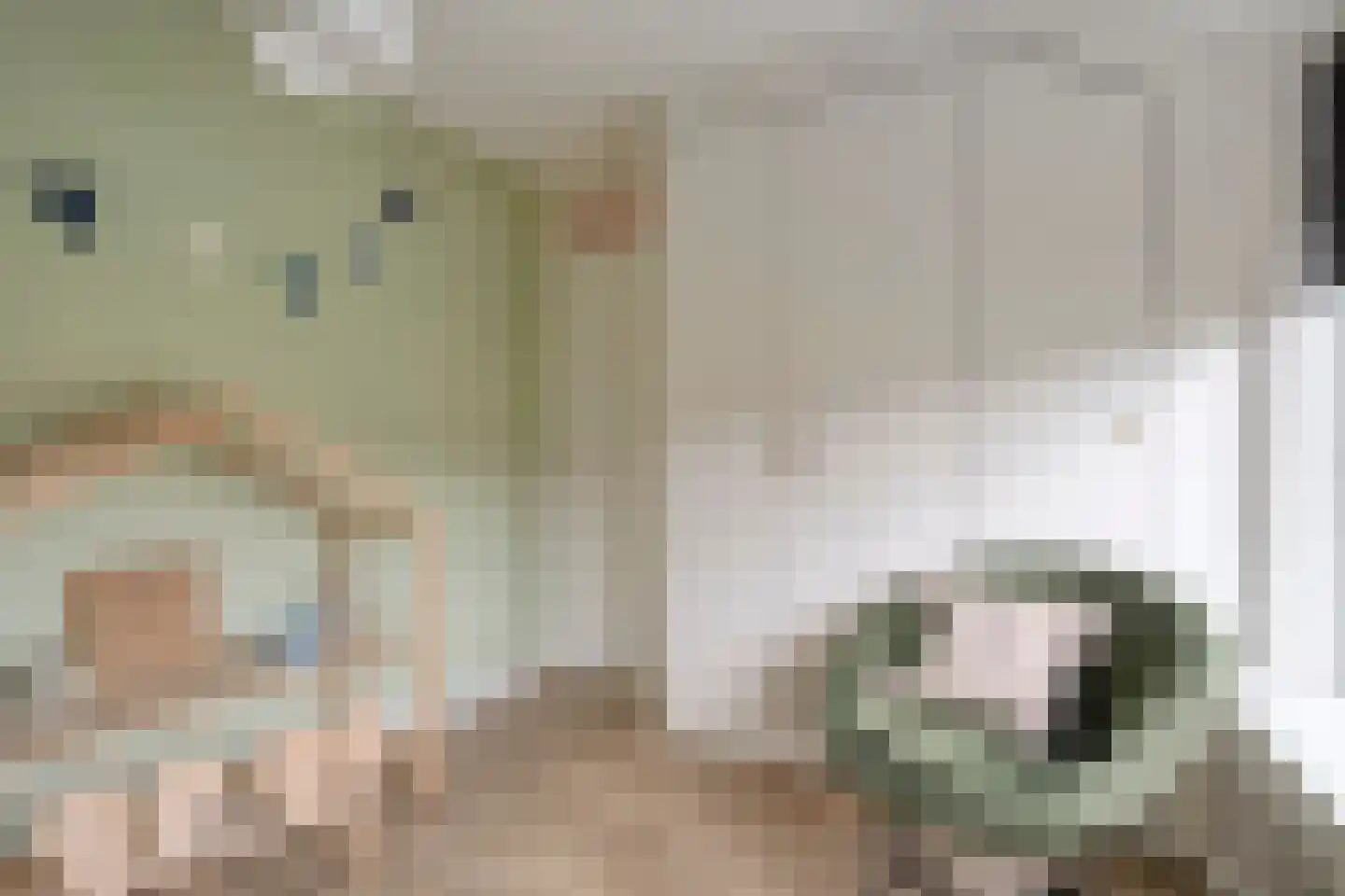 Pieter Zeemanlaan 22 Zwolle thumbnail 34