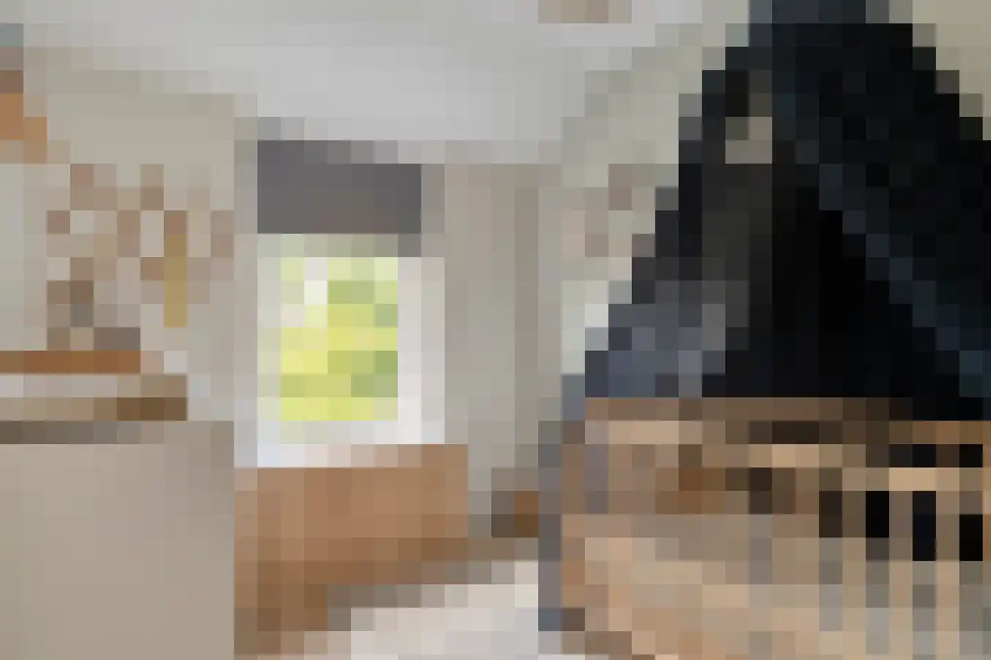 Pieter Zeemanlaan 22 Zwolle thumbnail 36