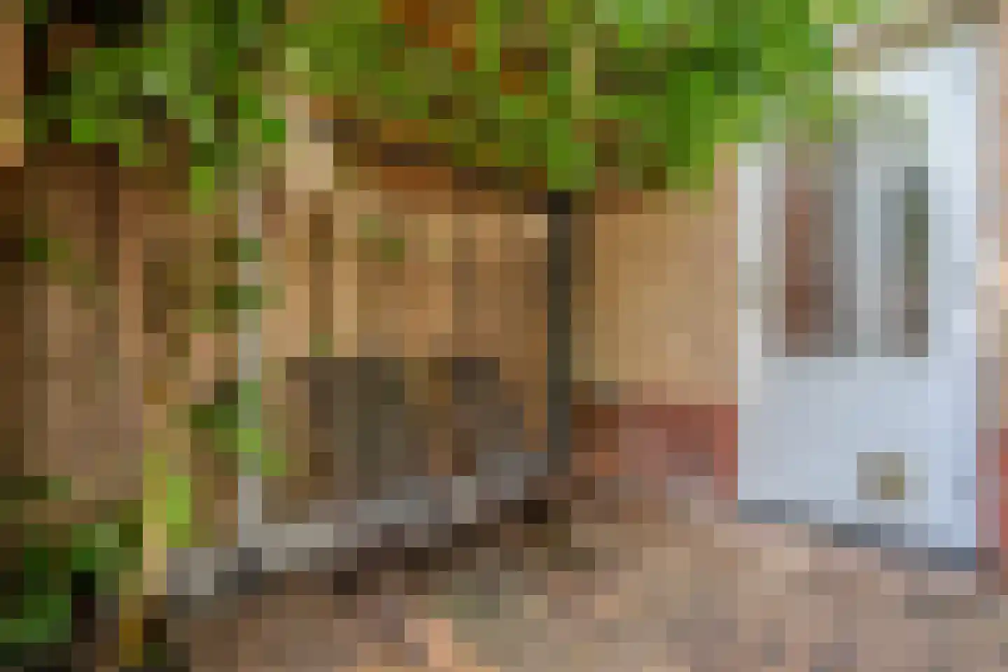 Pieter Zeemanlaan 22 Zwolle thumbnail 41