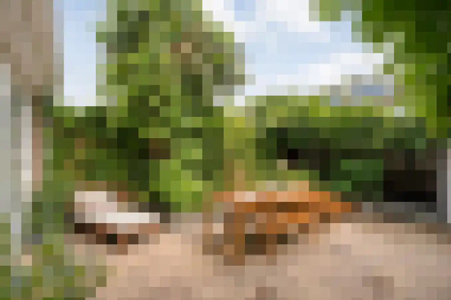 Pieter Zeemanlaan 22 Zwolle thumbnail 42