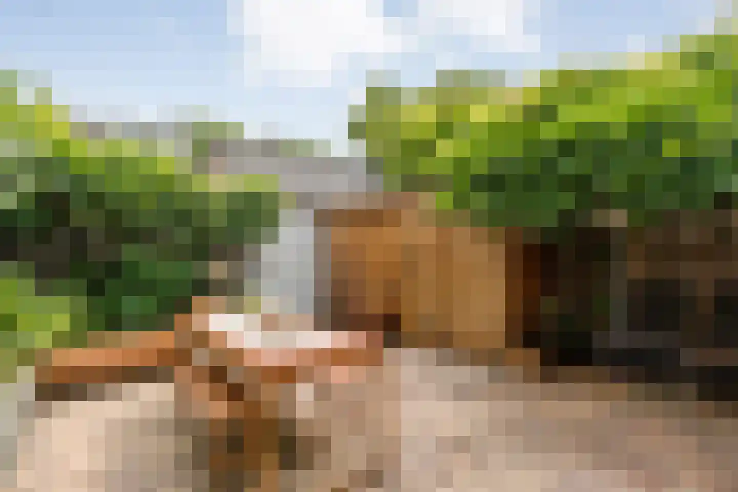 Pieter Zeemanlaan 22 Zwolle thumbnail 43