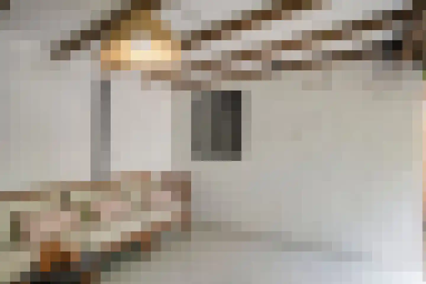 Pieter Zeemanlaan 22 Zwolle thumbnail 49