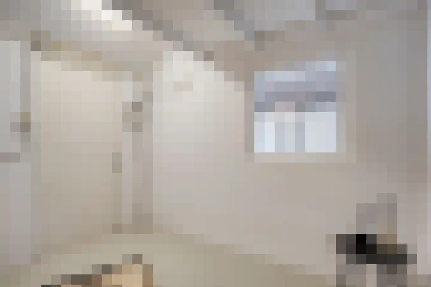 Pieter Zeemanlaan 22 Zwolle thumbnail 51