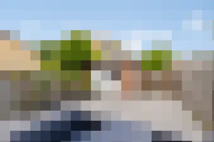 Pieter Zeemanlaan 38 Papendrecht thumbnail 28
