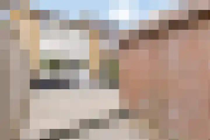 Pieter Zeemanlaan 38 Papendrecht thumbnail 29