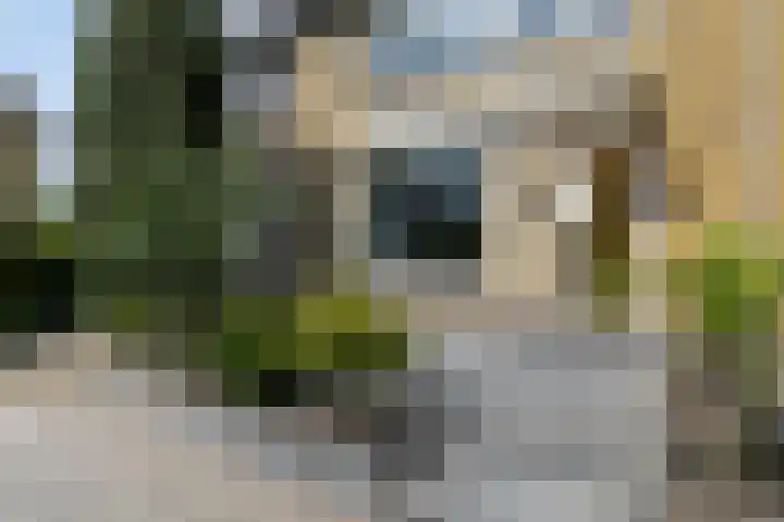 Pieter Zeemanlaan 38 Papendrecht thumbnail 31
