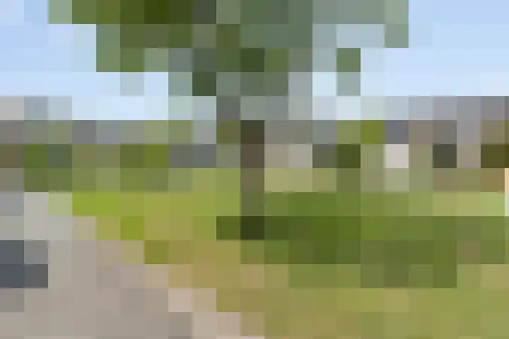 Pieter Zeemanlaan 38 Papendrecht thumbnail 33