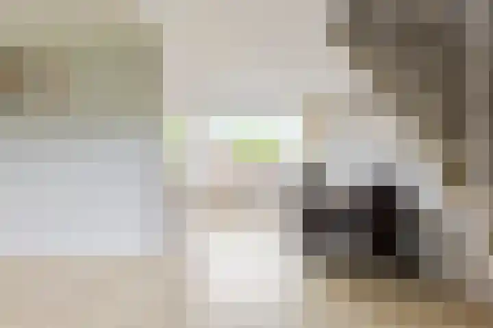 Pieter Zeemanlaan 38 Papendrecht thumbnail 4