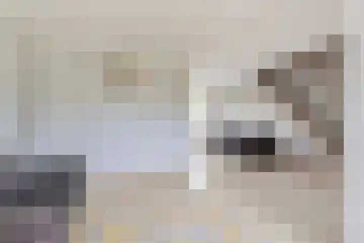 Pieter Zeemanlaan 38 Papendrecht thumbnail 7