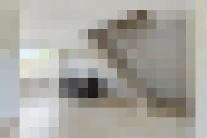 Pieter Zeemanlaan 38 Papendrecht thumbnail 8