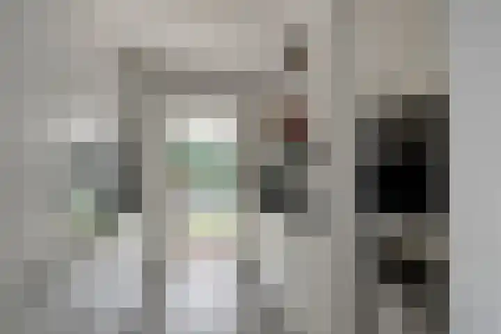 Pieter Zeemanlaan 40 Zwolle thumbnail 13