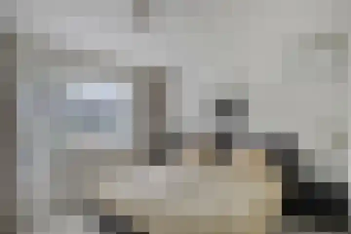 Pieter Zeemanlaan 40 Zwolle thumbnail 23