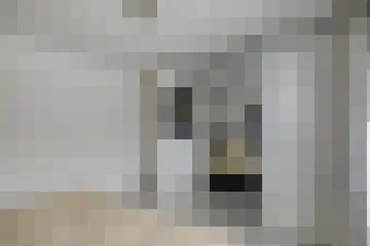 Pieter Zeemanlaan 40 Zwolle thumbnail 24