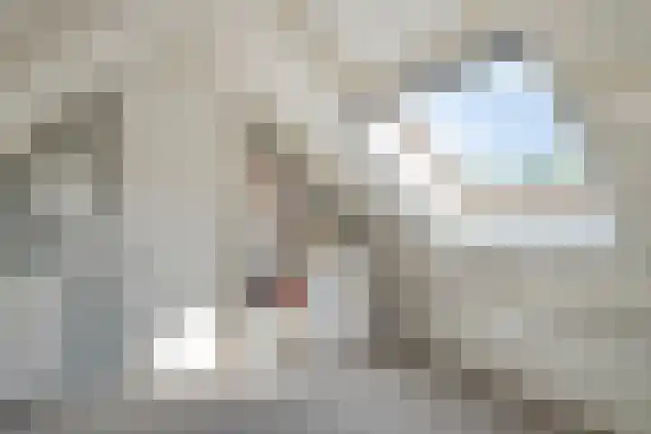 Pieter Zeemanlaan 40 Zwolle thumbnail 33