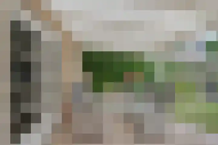 Pieter Zeemanlaan 40 Zwolle thumbnail 35