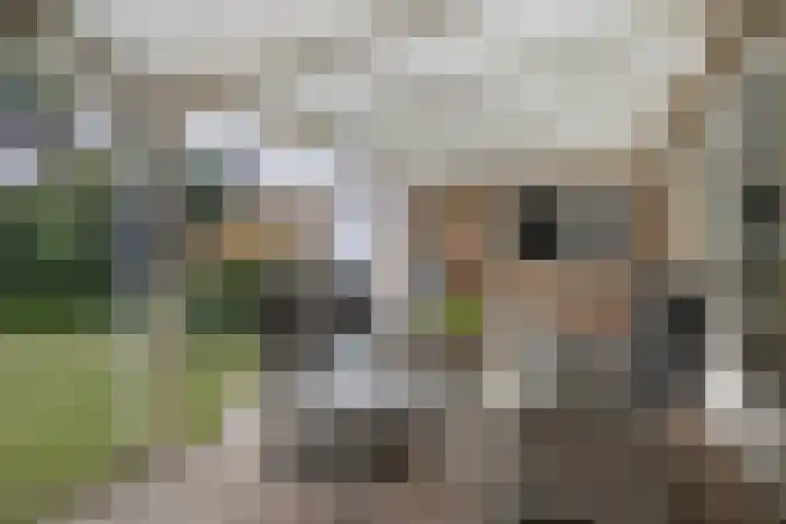 Pieter Zeemanlaan 40 Zwolle thumbnail 36