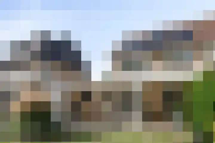 Pieter Zeemanlaan 40 Zwolle thumbnail 38