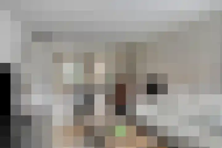 Pieter Zeemanlaan 40 Zwolle thumbnail 4
