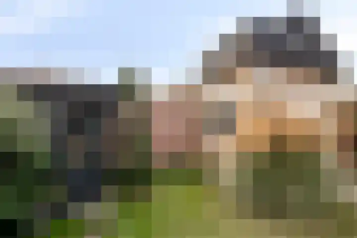 Pieter Zeemanlaan 40 Zwolle thumbnail 41