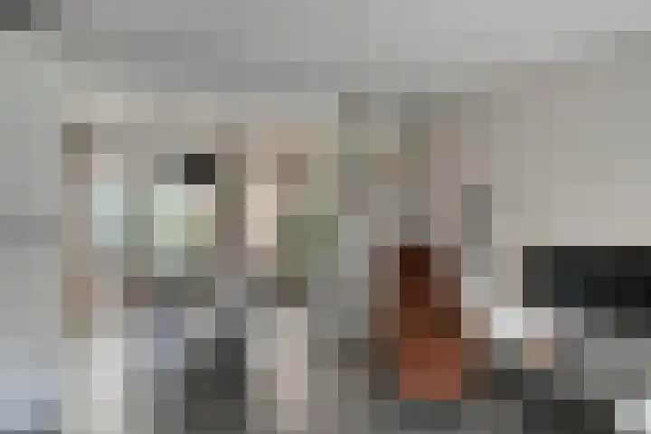 Pieter Zeemanlaan 40 Zwolle thumbnail 6