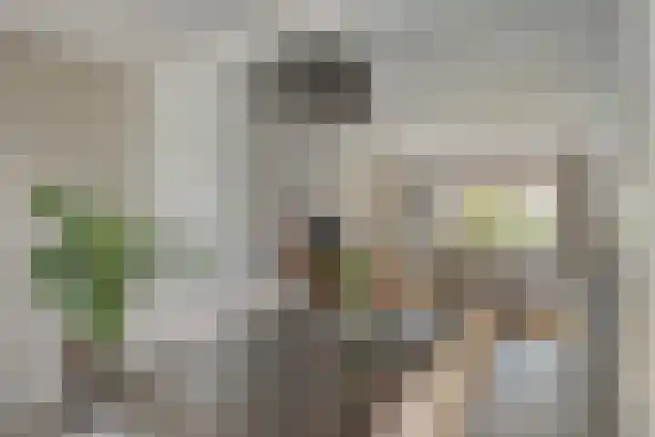 Pieter Zeemanlaan 40 Zwolle thumbnail 9