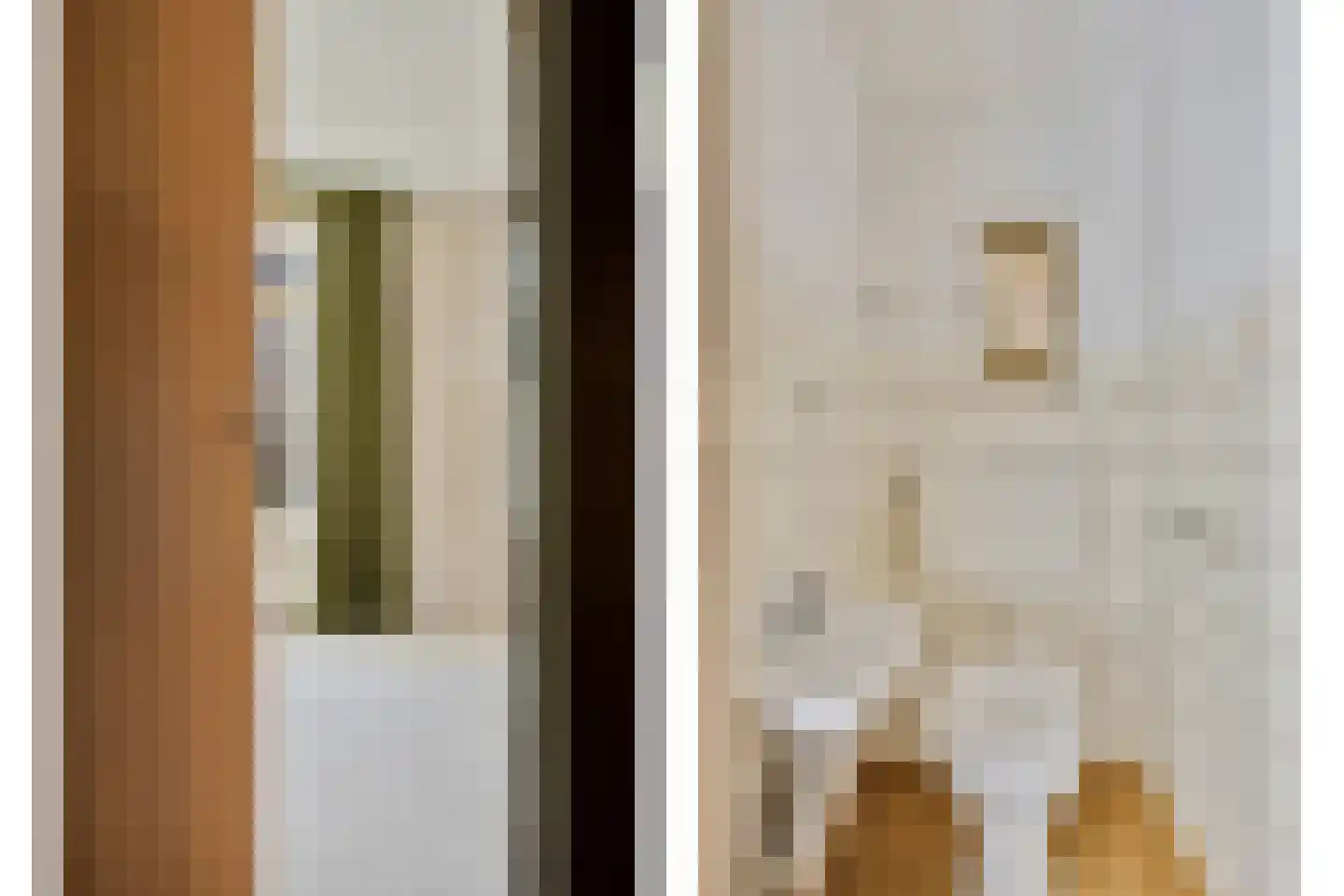 Pieter Zeemanlaan 44 Zwolle thumbnail 18
