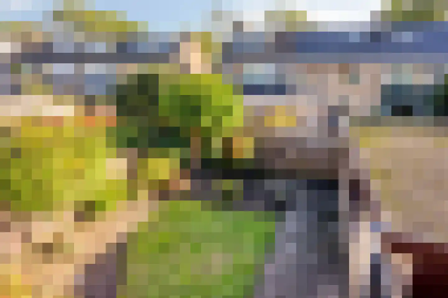 Pieter Zeemanlaan 44 Zwolle thumbnail 31