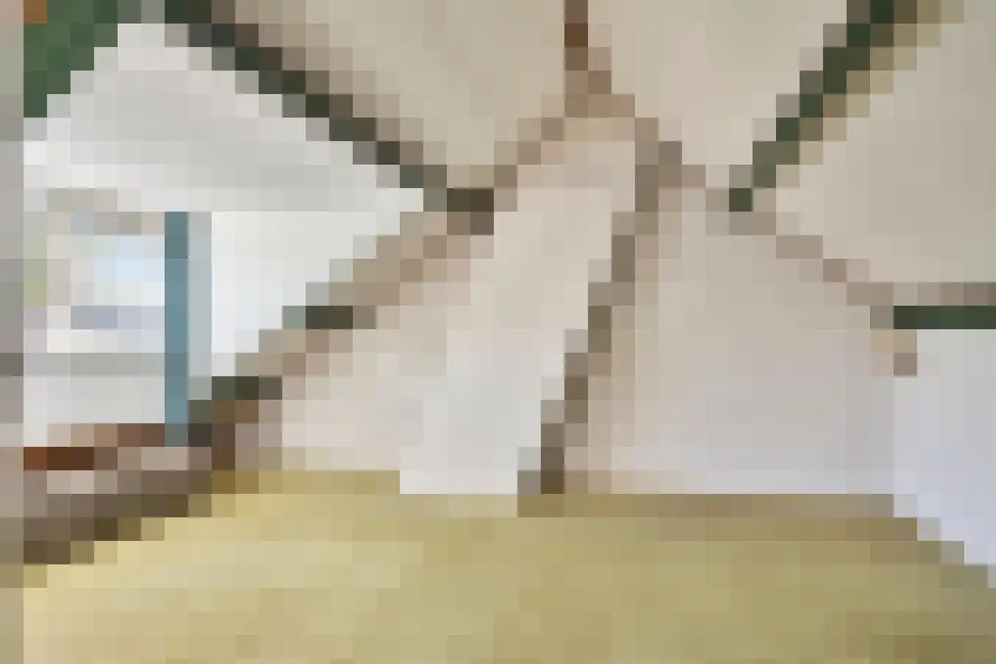 Pieter Zeemanlaan 44 Zwolle thumbnail 34