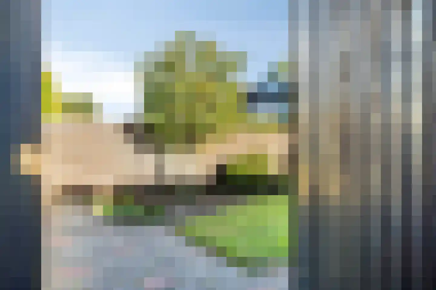 Pieter Zeemanlaan 44 Zwolle thumbnail 38