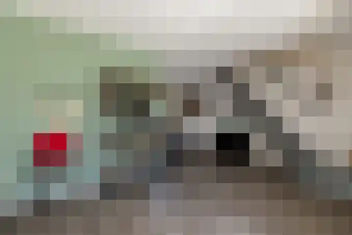 Pieter Zeemanlaan 46 Papendrecht thumbnail 10
