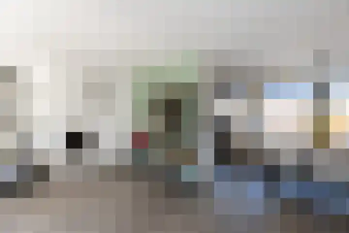 Pieter Zeemanlaan 46 Papendrecht thumbnail 11