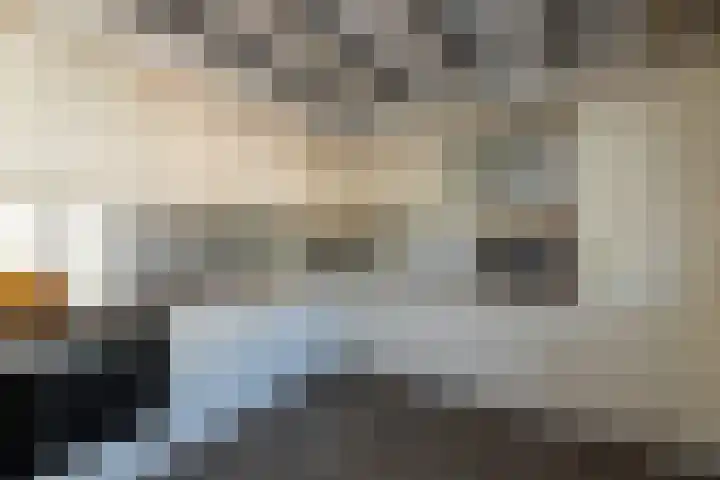 Pieter Zeemanlaan 46 Papendrecht thumbnail 13