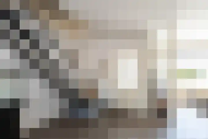 Pieter Zeemanlaan 46 Papendrecht thumbnail 15