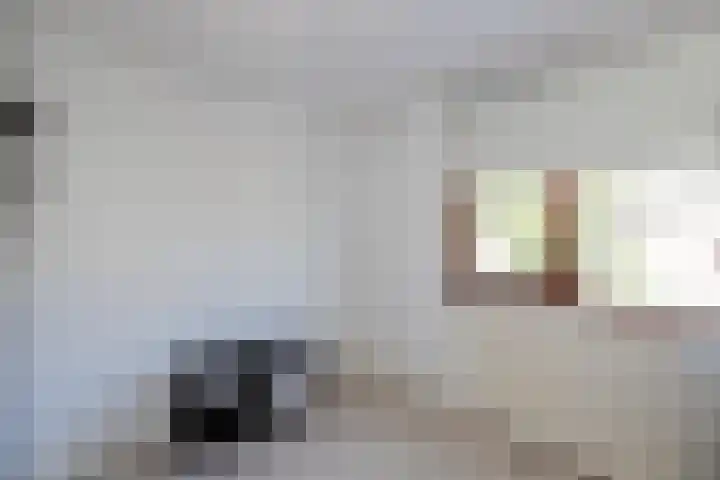 Pieter Zeemanlaan 46 Papendrecht thumbnail 18