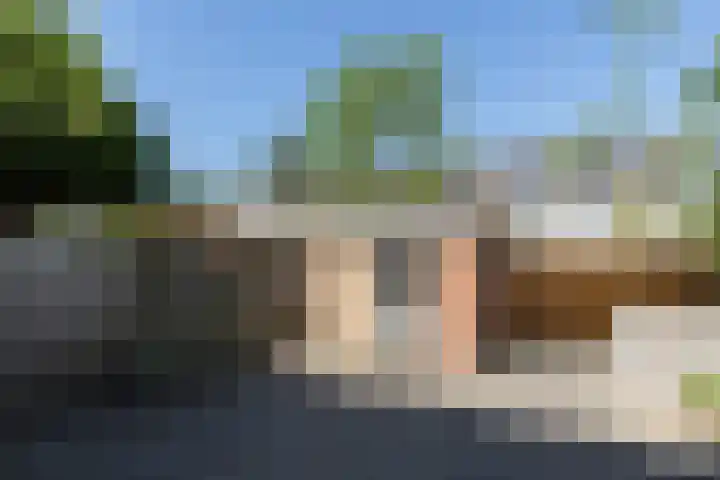 Pieter Zeemanlaan 46 Papendrecht thumbnail 24