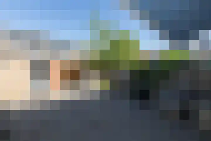 Pieter Zeemanlaan 46 Papendrecht thumbnail 4