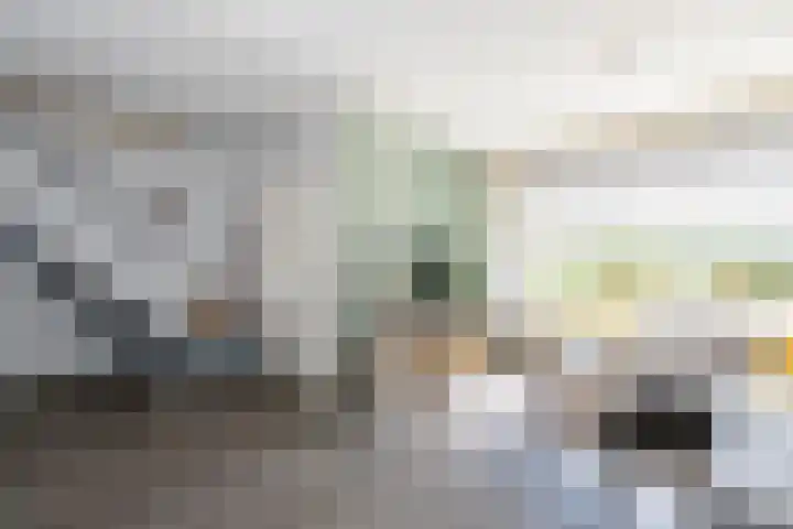 Pieter Zeemanlaan 46 Papendrecht thumbnail 7