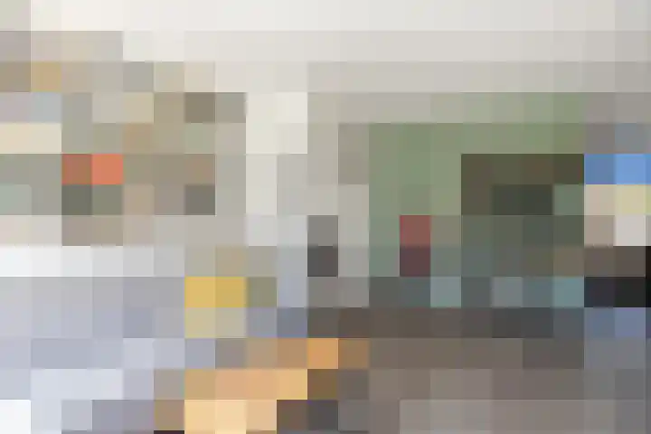 Pieter Zeemanlaan 46 Papendrecht thumbnail 8