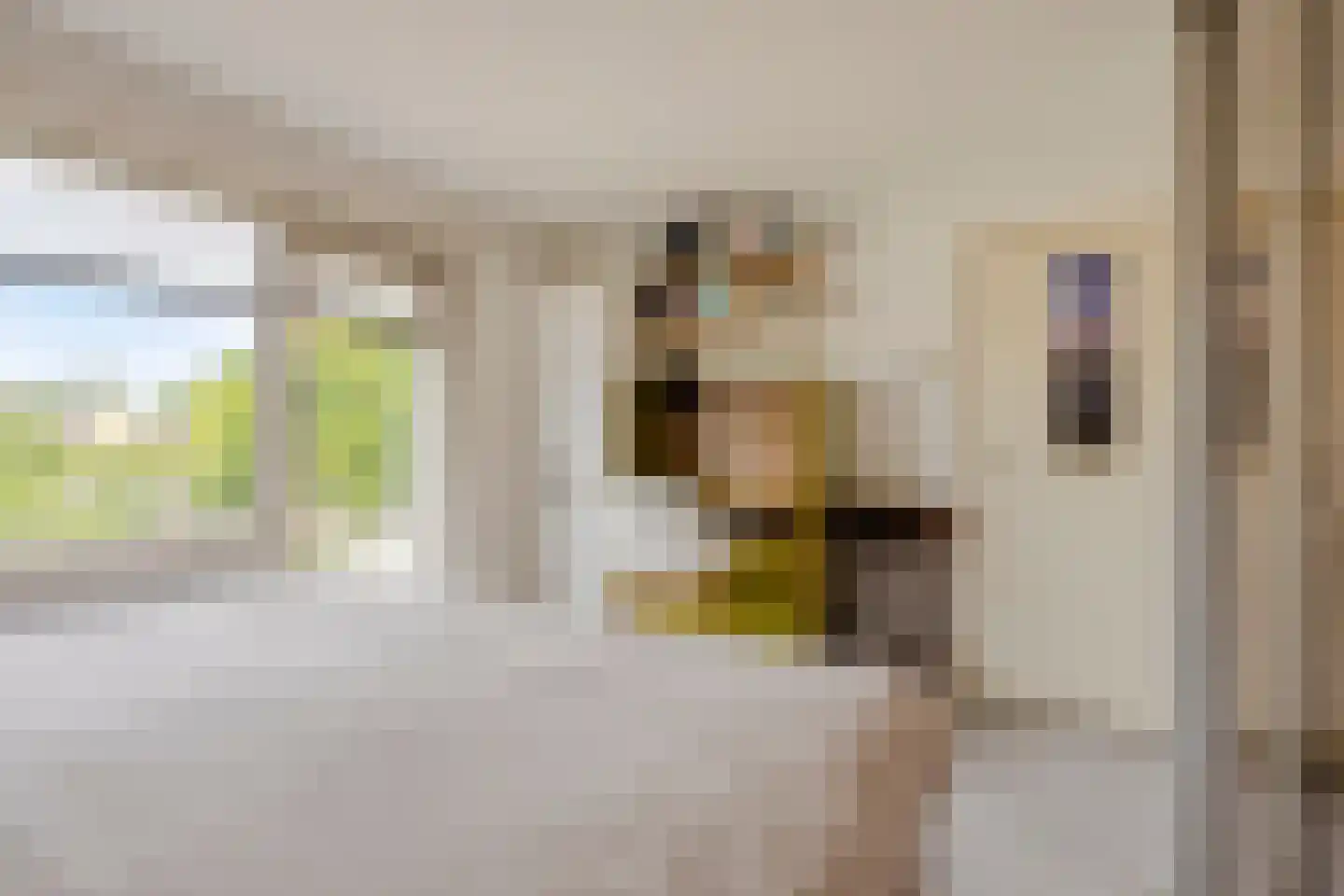 Pieter Zeemanlaan 49 Zwolle thumbnail 21