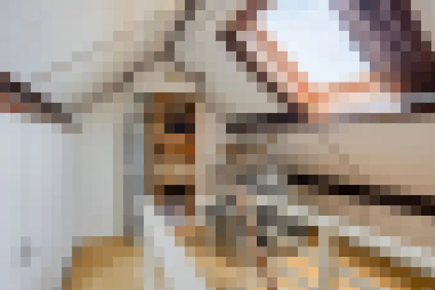 Pieter Zeemanlaan 49 Zwolle thumbnail 32