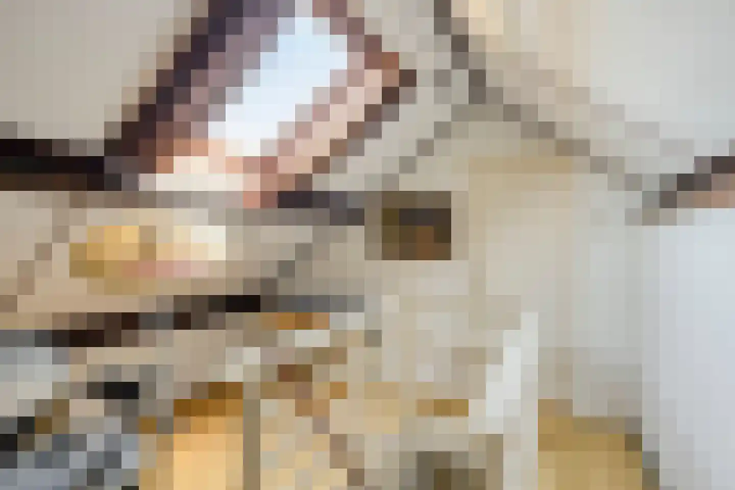 Pieter Zeemanlaan 49 Zwolle thumbnail 33