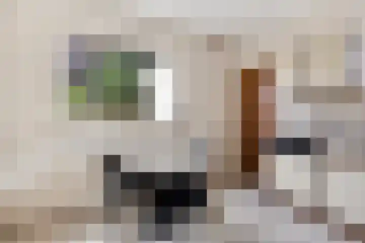 Pieter Zeemanlaan 56 Zwolle thumbnail 10